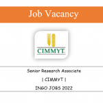 Senior Research Associate | CIMMYT | ingo jobs 2022