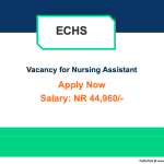 Nursing Assistant | ECHS | jobs 2023 latest